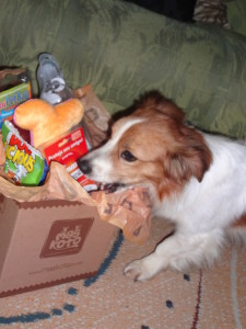 beethoven,petisco,maskoto