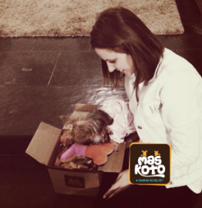 dog,maskoto,jennifer