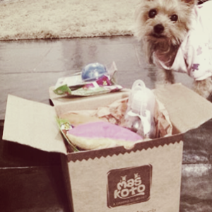 jennifer,caixinha,maskoto