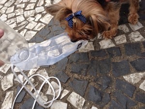 pipa, petdrink,maskoto