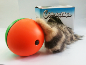 fuinha,castor,maskoto