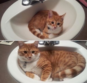 maskoto,antesedepois,blog (18)