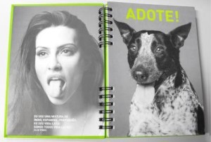 maskoto,bog,campanha