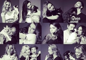 maskoto,campanha,blog