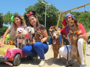 maskoto,carnaval,cao,dog
