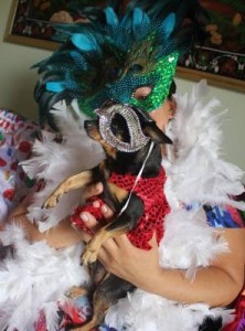 maskoto,dog,carnaval