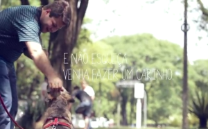 maskoto,pat,campanha