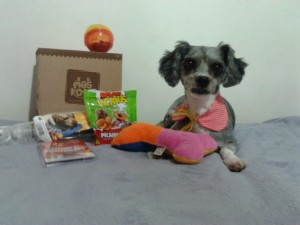 pepita,maskoto,mimos