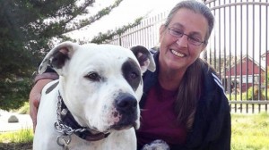 maskoto,carol,pitbull