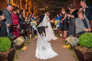 maskoto,casamento, dog