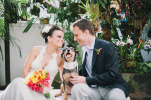 maskoto,casamento,cao