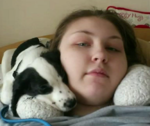 maskoto,dog,blog (1)