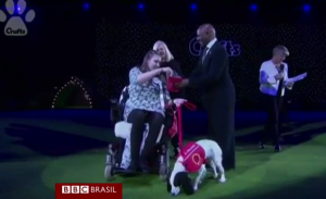 maskoto,dog,blog (4)