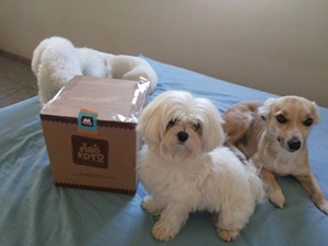 Polly,Lulu,Alice,Sofia e Magali4