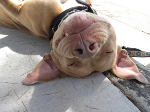 enhanced-buzz-8812-1377104756-7